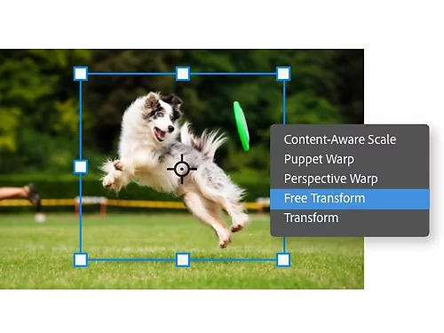 An example of the menu that shows up when you right-click on a layer. The menu shows options for Content-Aware Scale, Puppet Warp, Perspective Warp, Free Transform, and Transform.