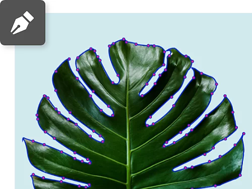 A vector image of a palm leaf.