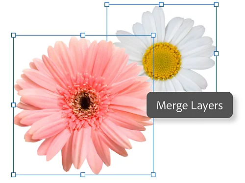 A layered image of two flowers. Each layer is selected and there is a bounding box around each layer.