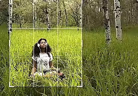 An example of the Crop tool being used to crop an image of a person sitting in a forest.