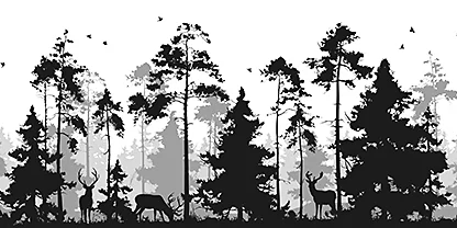 A forest landscape with trees of all sizes and deer created in black silhouettes on a white background