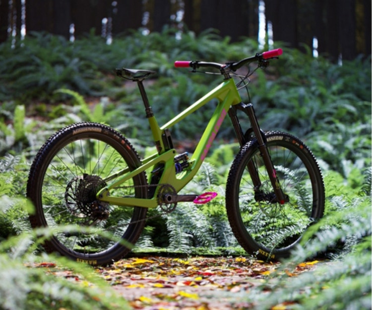 mountain bike in forest