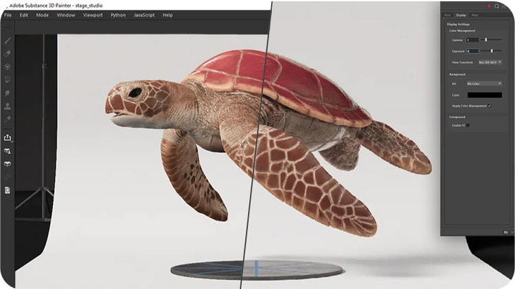 3d rendering of a sea turtle