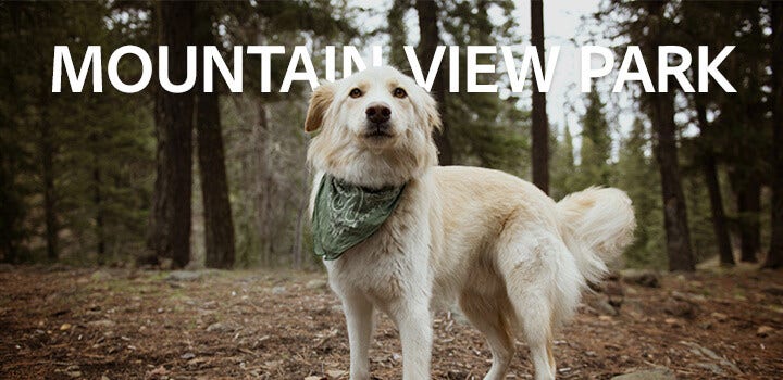 Title of a park added to the top of an image of a dog standing in the park.