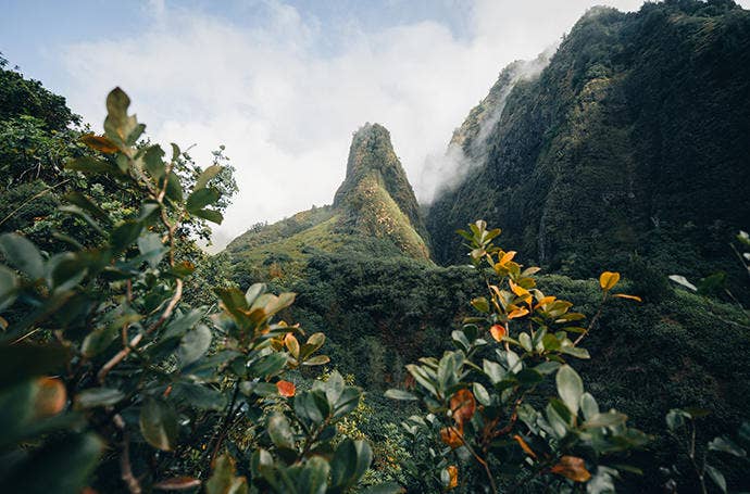 Landscape image of lush hillsides in the tropics