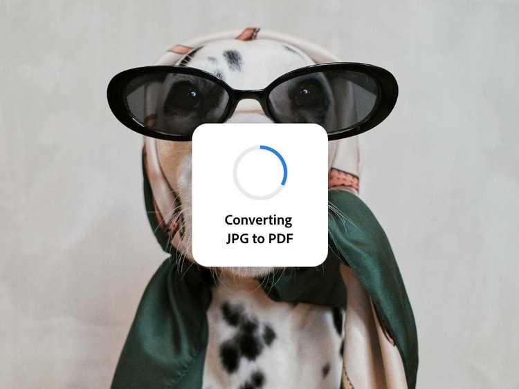 An image of a dog wearing sunglasses with a pop-up spinning wheel that shows it is converting JPG to PDF