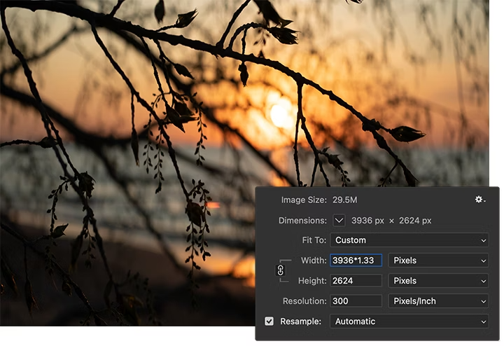 The Adobe Photoshop image size menu superimposed over an image of a tree branch with the sunset out of focus in the background