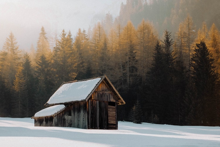 Photograph of morning light shining on snow covered cabin in forest.