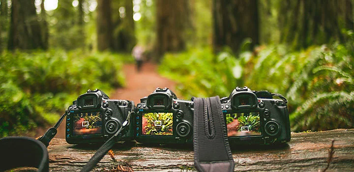 Üç dijital fotoğraf makinesinin farklı aydınlatmayla aynı görüntüyü çekmesinin örneği