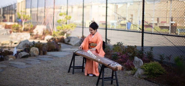 Person wearing a kimono playing a guzheng as an example of photojournalism