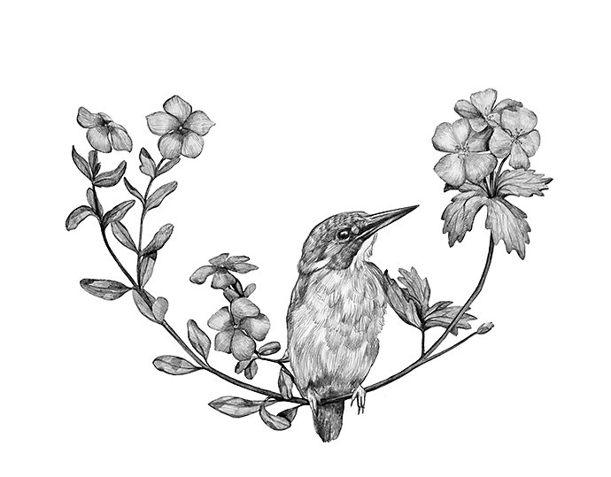 decorative-pencil-drawing-a-bird-sits-on-a-flower-branch-kingfisher-and-wildflowers-in-a-beautiful-ornamental-semicircle-element-for-design-a-postcards-greeting-cards-wedding-invitations-etc