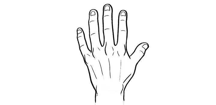 Detailed drawing of a human hand