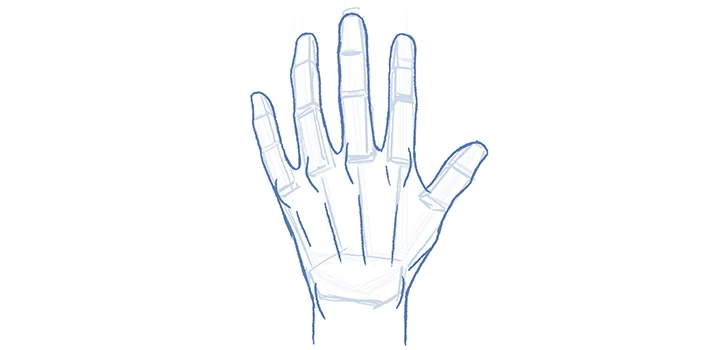 Sketch of a human hand