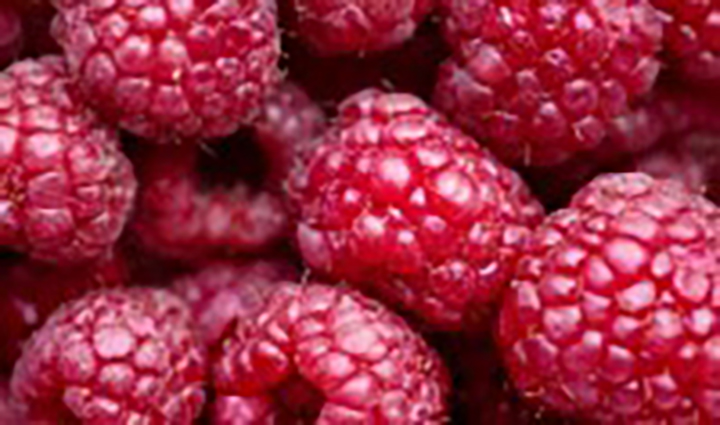 low resolution macro image of raspberries