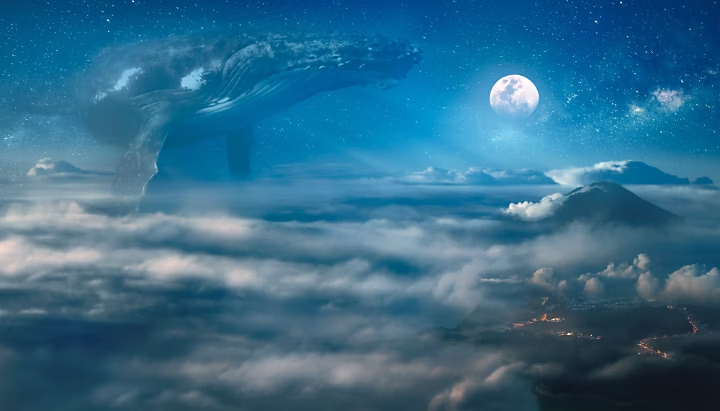 Nocturne surreal dream with clouds big whale hovering in the space night landscape under full moon on background