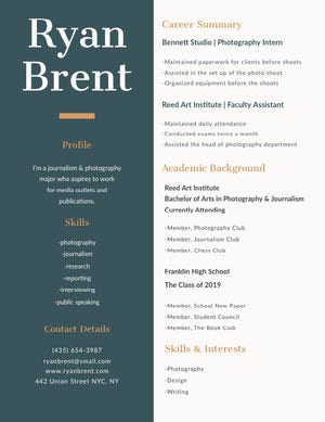 Green and Brown Journalist and Photographer Resume Resume Examples