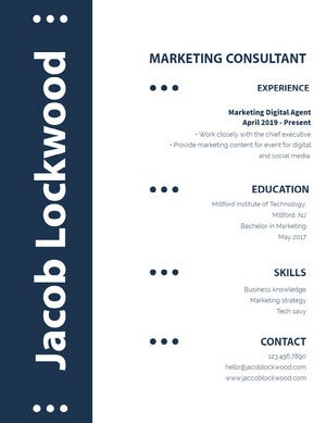 Blue and White Marketing Consultant Resume Resume Examples