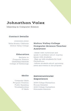 White and Green Professional Resume Resume Examples