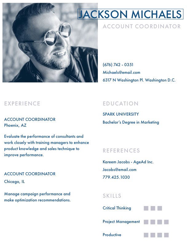 Blue Account Coordinator Resume