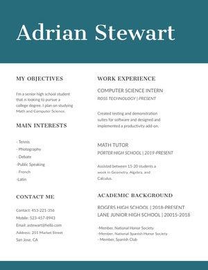 Turquoise Computer Science and Mathematics Resume Resume Examples