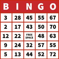 Red Bingo Card with Numbers Birthday Design