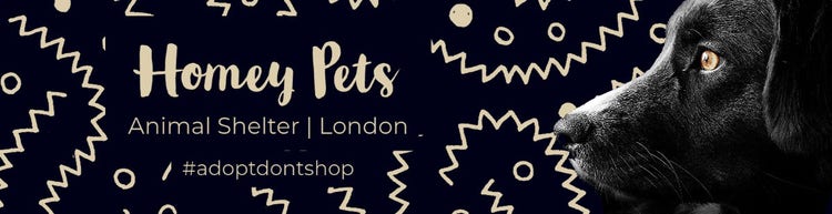 UK Black Puss n’ Boots Pet Shelter Linkedin Profile Cover