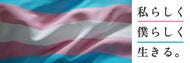 Transsexuality flag banner