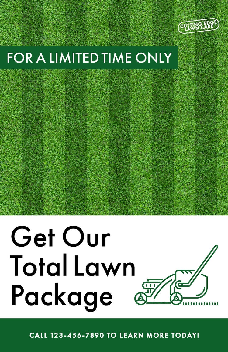 Modern Total Lawn Care Business Flyer