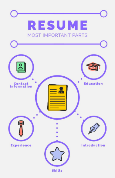 Purple Diagram Illustrated Resume Infographic