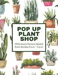 Green & White Pop Up Shop Flyer